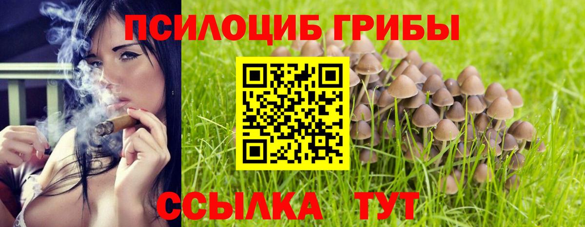 Псилоцибиновые грибы мицелий Обь